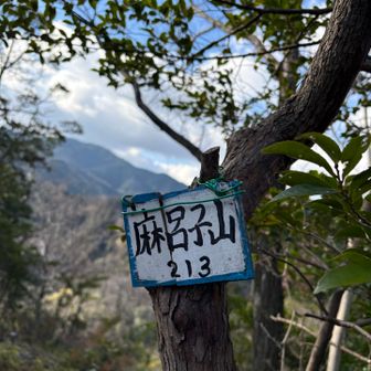 今年もよろしくお願いします🙇‍♂️
