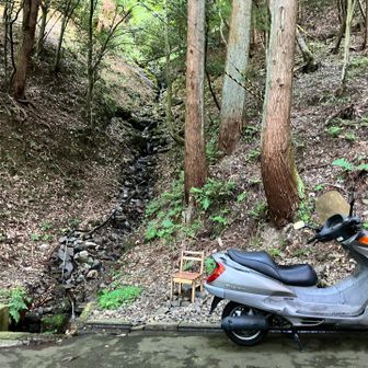 今日のゴールの長尾の連滝に戻ってきました👍

日記から明らかなように、私が今回歩いたルートは、バリエーションルートの登山としては楽しい要素が満載ですが、そのまま従来の南西尾根コースの寄り付き部分を代替するルートとするのには、あまりにも難易度が高すぎると思います🥲沢登りルートなどは数日前の天候によっても通行不能や困難になってしまいます🤔
そういった意味では、今回の私の試みは難易度を下げることにはほとんど全く、寄与できなかったというのが正直なところです✅

しかしながら、南西尾根の北東支尾根線上に乗ってからの区間は難易度を下げるために活用できる部分がありそうです✅
これは南西尾根についても同様です✅
また、両者とも詳細に調べれば、まだまだ難易度を下げられるルートが他に見つかる可能性が残されているでしょう👌

さらに、アッキーさんが提案されています「難易度落とし案」とコラボすることも考えると、難題である尾根への取り付き部分の困難もある程度、解決できるようになるかもしれません🤔

今後の調査によってもし、
✅南西尾根の北東斜面
✅南西尾根の北東の支尾根
✅両者の間の沢の部分
などをうまく組み合わせて、難易度を大幅に下げる方法が見つかれば、「難易度落とし案」が構想から実現へ、さらには「新南西尾根コース」へと発展していくという、大きな可能性を秘めていると考えるのです📚