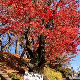 15分くらいで成田山に到着