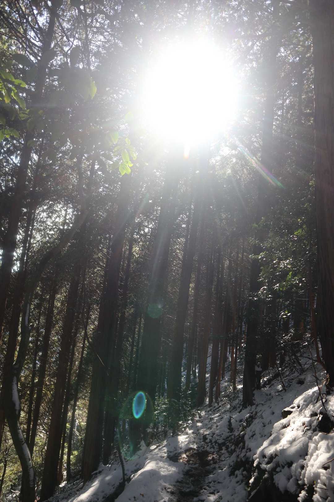 石津御獄登山口-石津御嶽-パラグライダー発射台-美濃松山 往復コースの写真