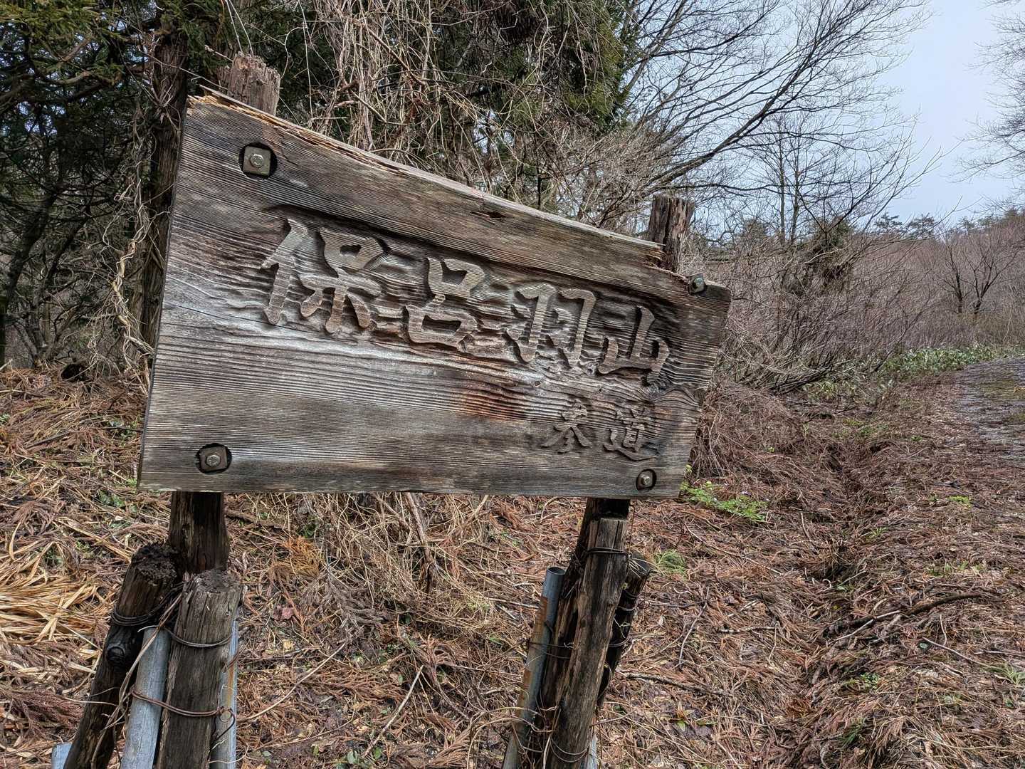 では、よろしくお願いします🎶