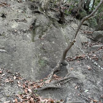 ロープがありがたい😊