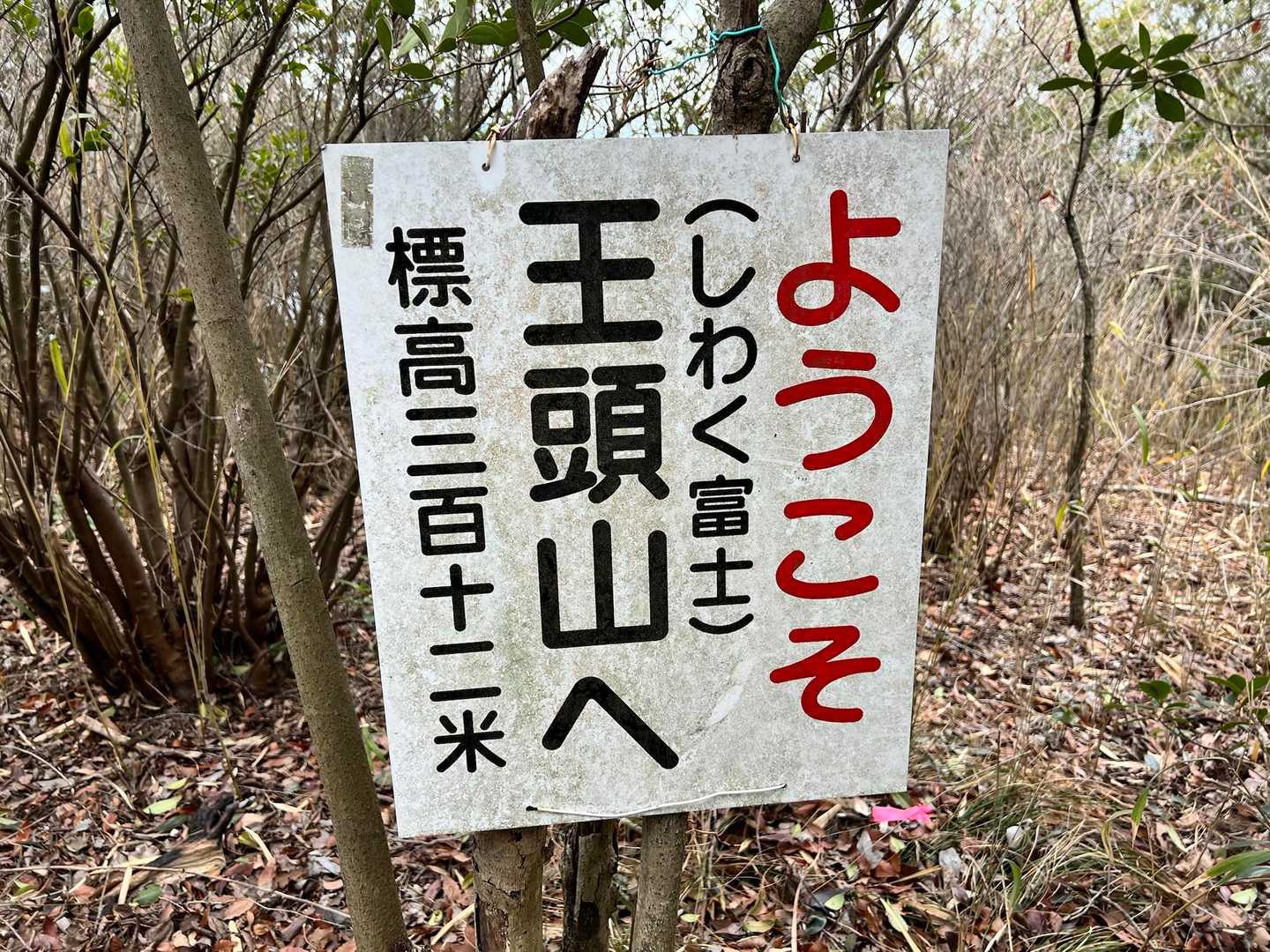 王頭山、とーちゃく😀