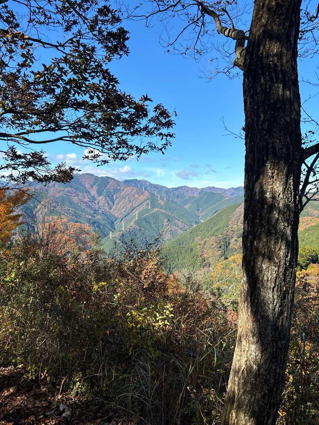 岩茸石山からの景色。棒ノ折山方面でしょうか。
