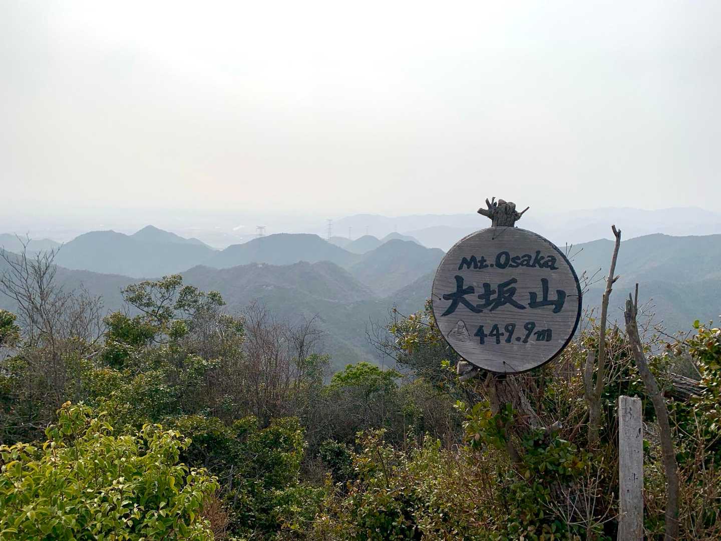 山口登山口-大坂山取付き-P186-P320-大坂山-背山 周回コースの写真