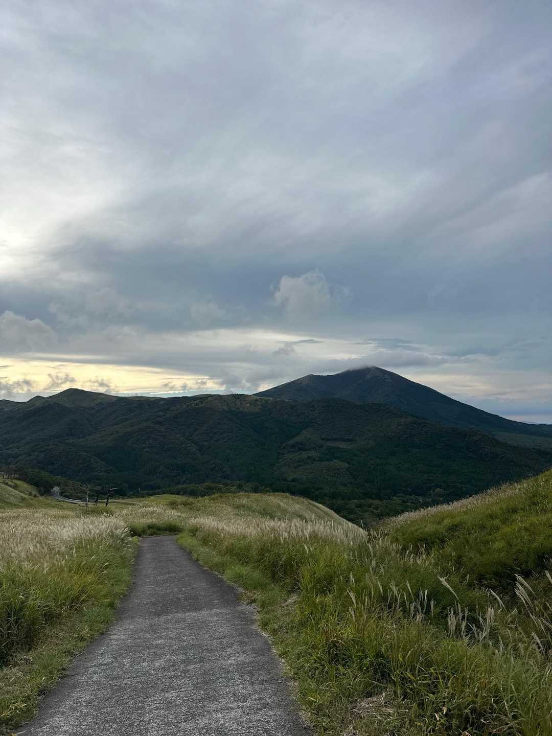 おにぎり山 往復コースの写真