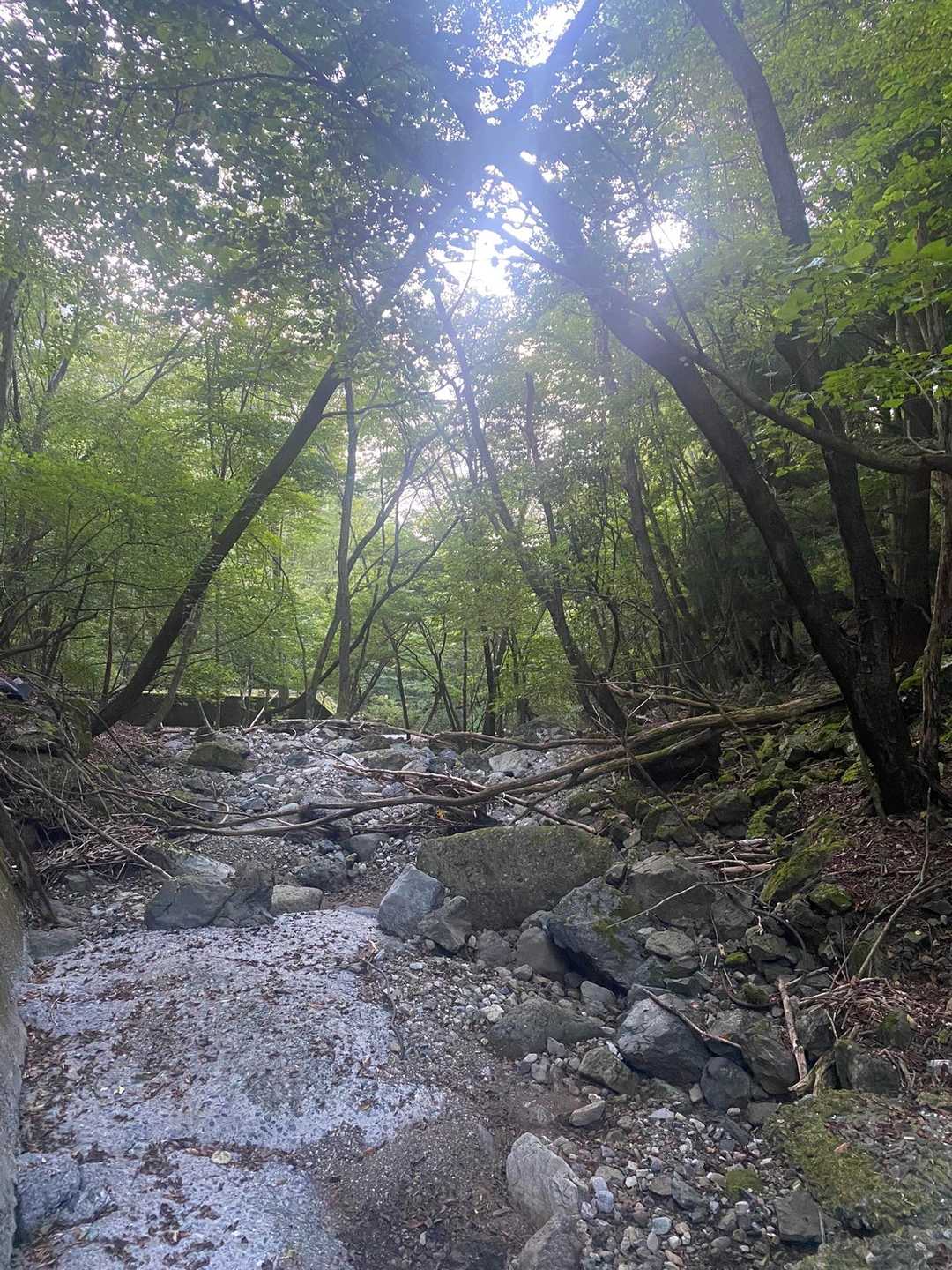 王岳（西湖いやしの里）の写真
