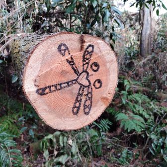 切り口にトンボの絵。切り口の色からしてまだ新しそう。目が正面やなくて左向き、胴体がハート♥なのもいいね。👍

これ描いた人、絶対にいい人やわ～
会ってみたいな。