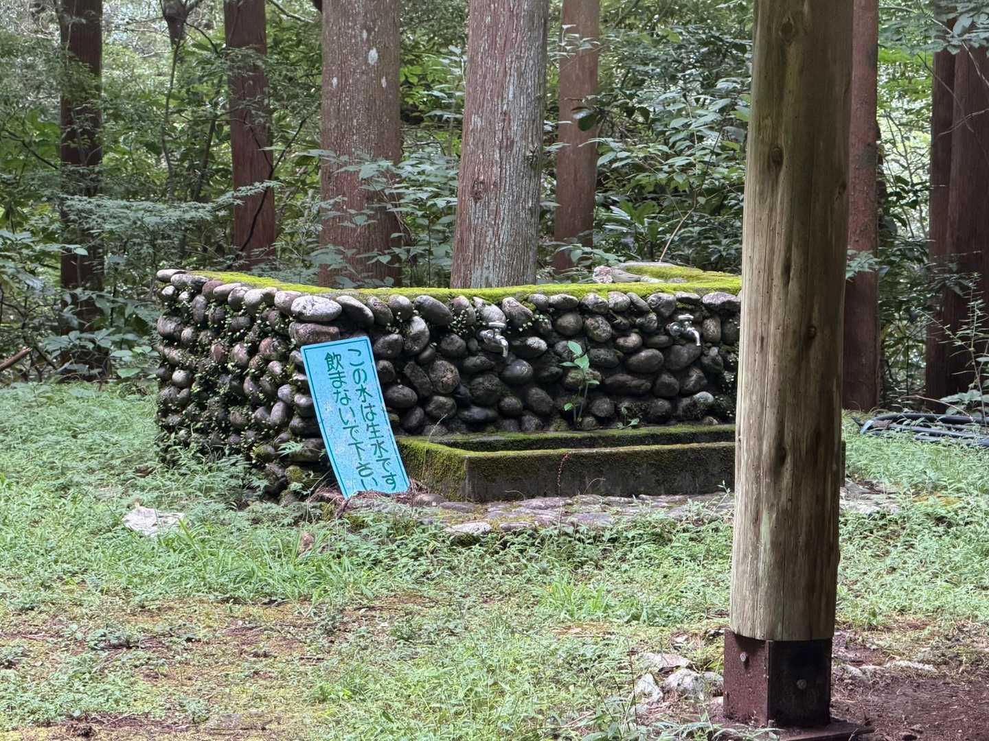 とりあえず飲んでみるかと近寄ると飲めない😭名水とは？