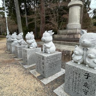 可愛い干支がズラッと勢揃い🥰