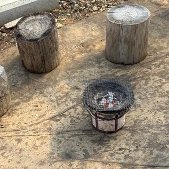 今日は特別いちごの次が