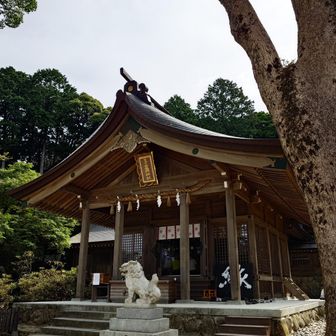 竈門神社をへて宝満山山頂へ
今日はここから山の日登山！楽しんで行こうと思います