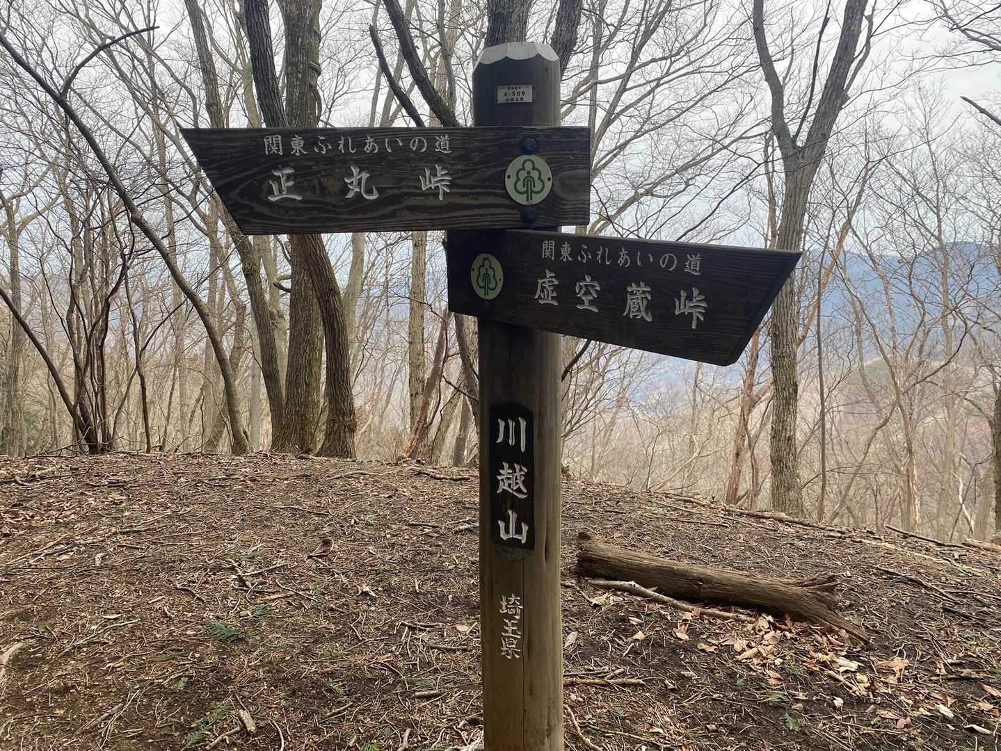 川越山につきました
飯能百名山