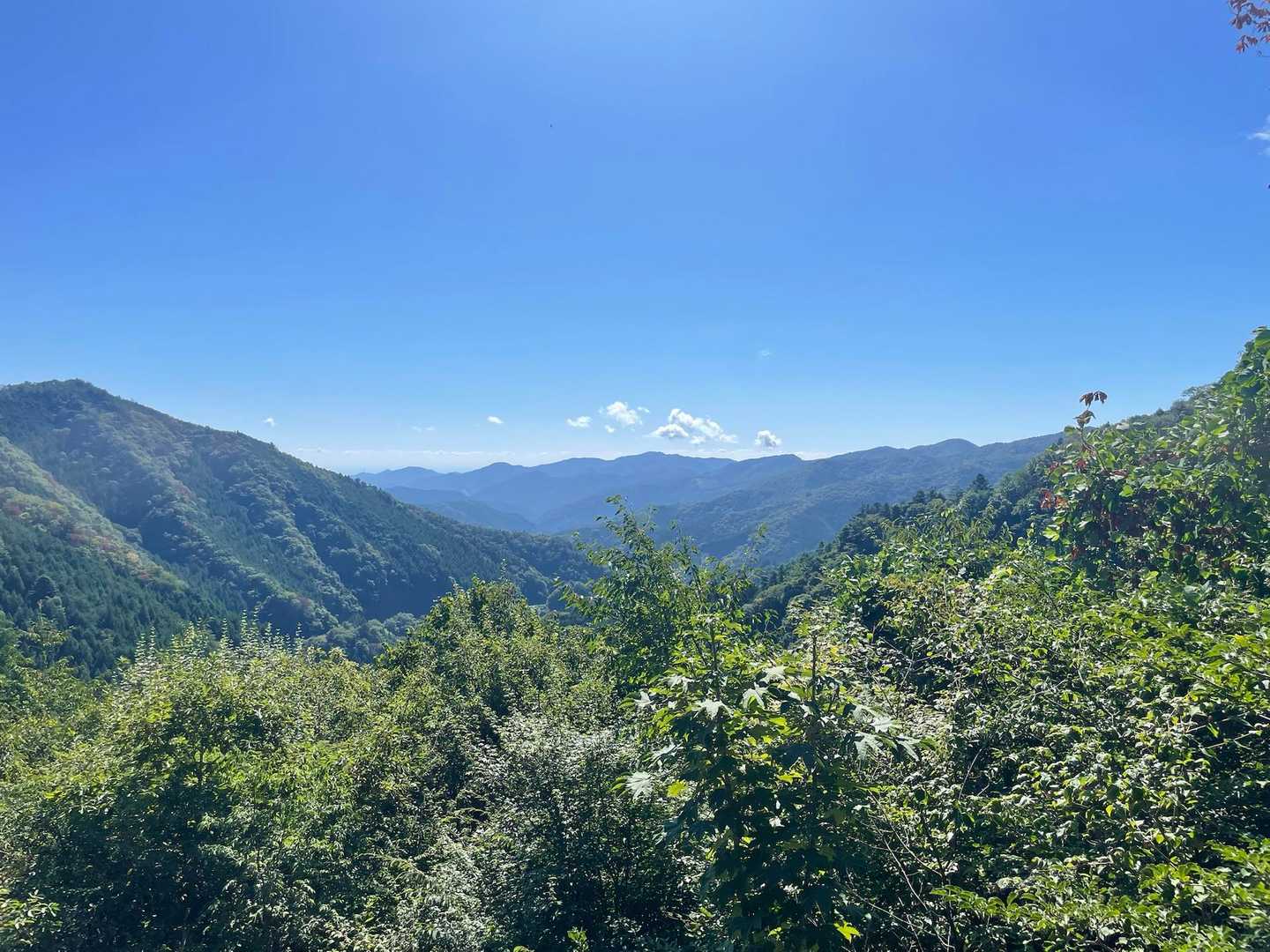 温泉センターバス停-仲の平バス停-西原峠-槇寄山-大沢山- 縦走コースの写真