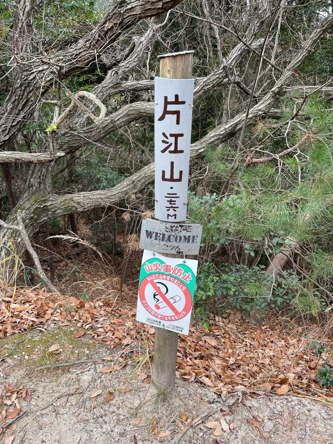 片江山⛰️276m