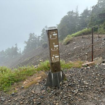 薊畑の分岐

百間洞山からここまでの稜線で見かけたのは5名くらい。やはり今日は中止にされた方が多かったのかな🤔