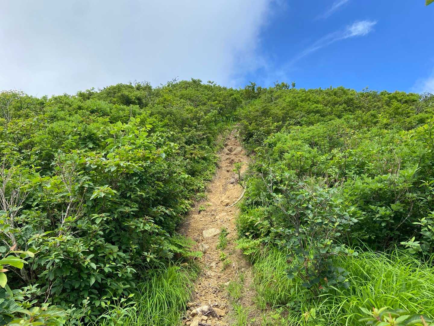 大境山 往復コースの写真