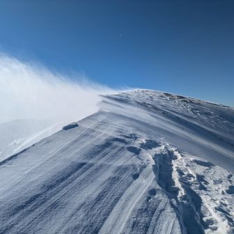 Σ(ﾟ∀ﾟﾉ)ﾉｷｬｰ