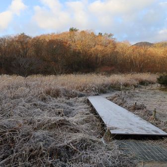 今朝は寒かった
下蒜山登山口の木道は
霜で真っ白だった