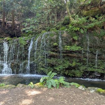 千条（ちすじ）の滝、癒されました。