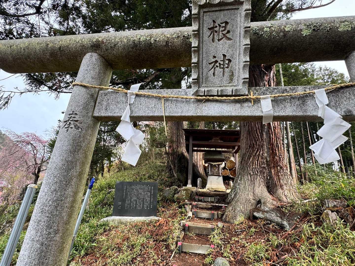 五つ目の根神大権現。
これで五福巡り完了です🥳