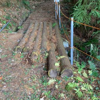 丸太の橋が有ります