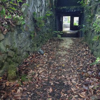 通って来た方を見る
《スマホ撮影》