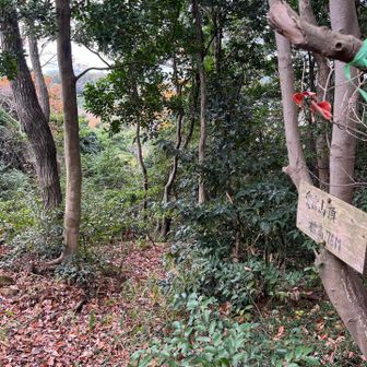 途中から道がわかりにくくなってます🤔
上に登ればどこからでも山頂にはつくんですが、確実に登りにくいところを登ってましたね💦