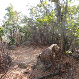 ガベノ城に到着！