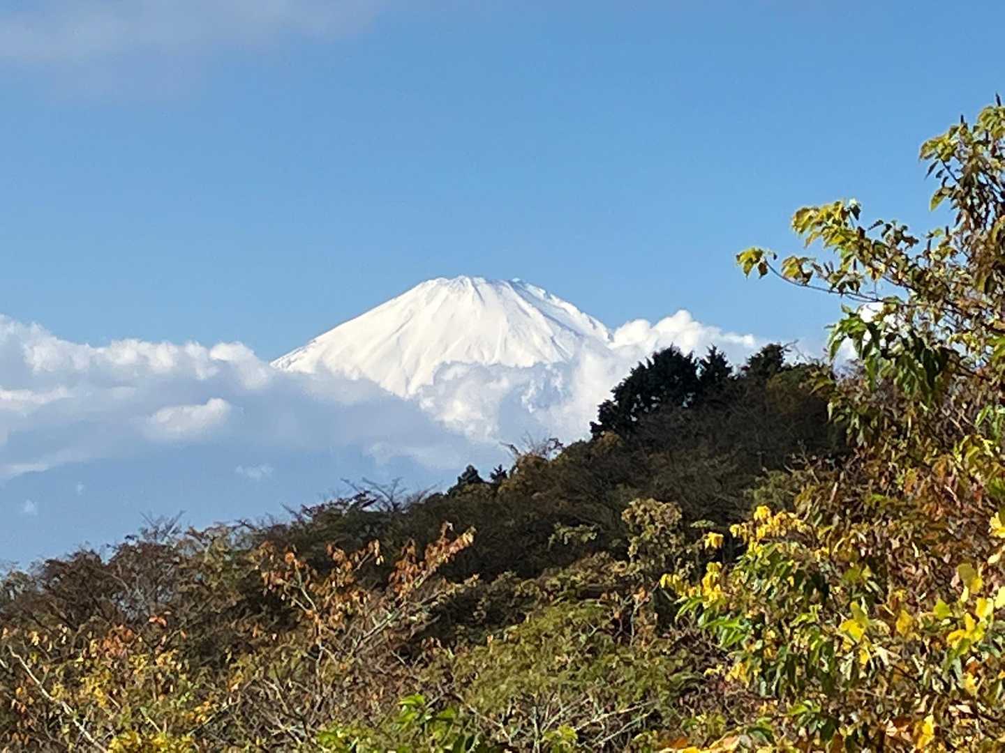 小田急　新松田駅-尺里峠-高松山-ビリ堂-山北駅 縦走コースの写真