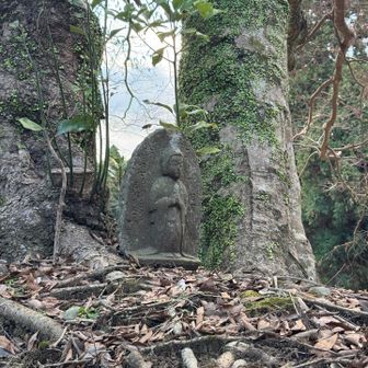 木の根に妙見菩薩さま