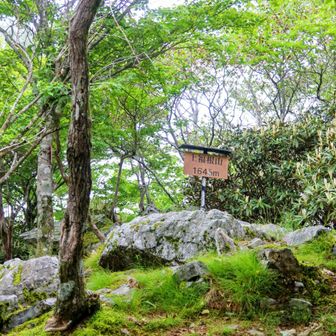 さようなら上福根山👋