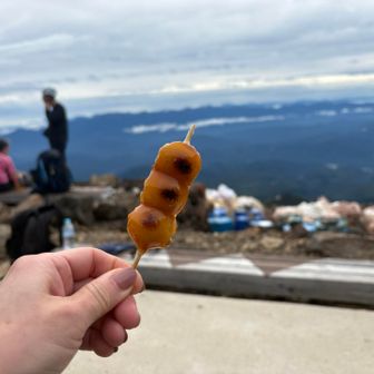 9号目避難小屋で休憩
このダンゴ一瞬で食べました😋