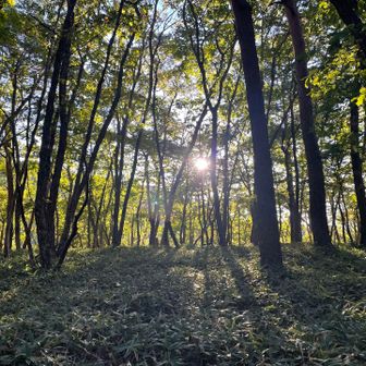 気持ちの良い朝のトレイル✨目指すは編笠山