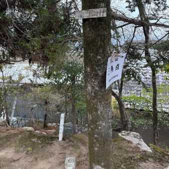 龍王山山頂（４座目）
竜王山  四等三角点🔺286.68m
集合写真もありますが、目がチカチカするので、ここはシンプルに✨