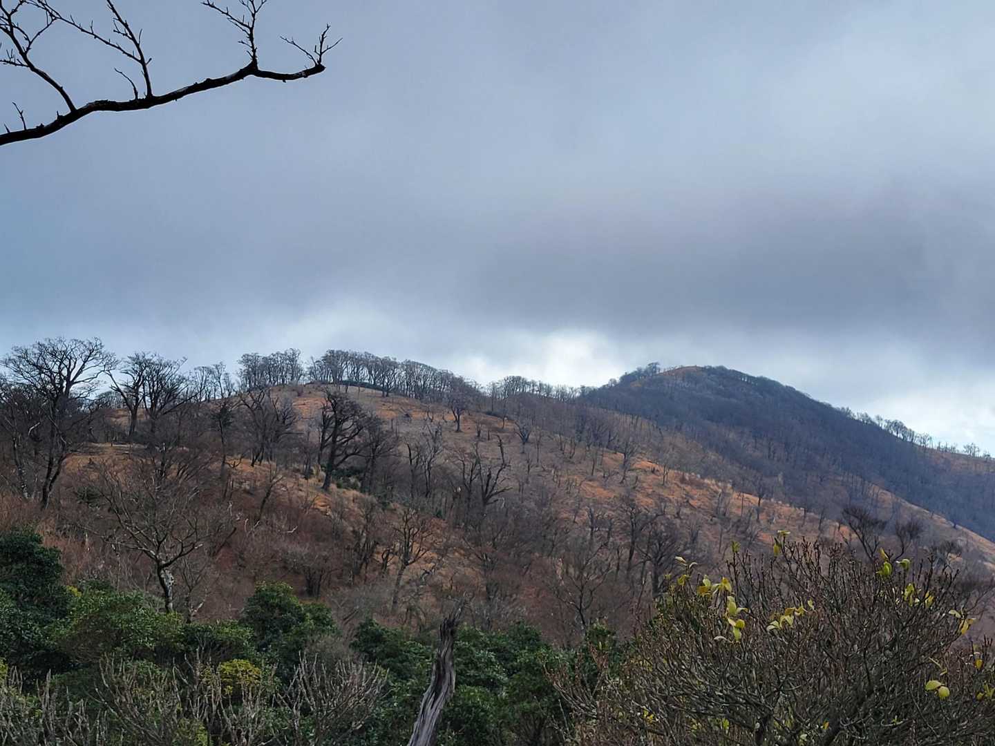 振り返って白髪岳を見上げる