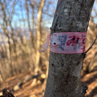 と思ったら意外な場所にありました