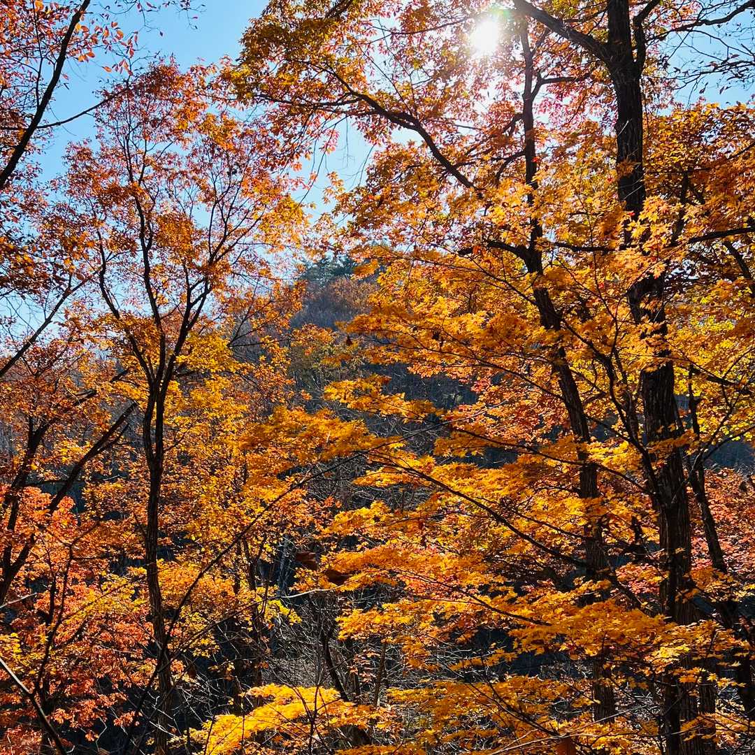 久渡寺山-岩落山 周回コースの写真