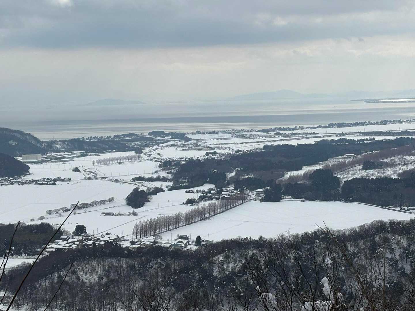 メタセコイヤ並木と琵琶湖が見えます。