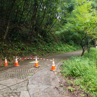 この先の東屋からの登山道は問題なし👍