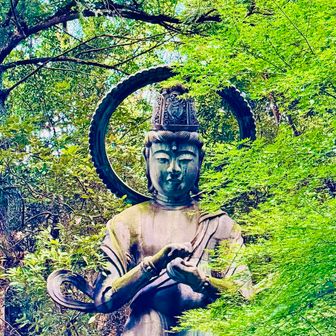 🙏金剛拳菩薩の立像