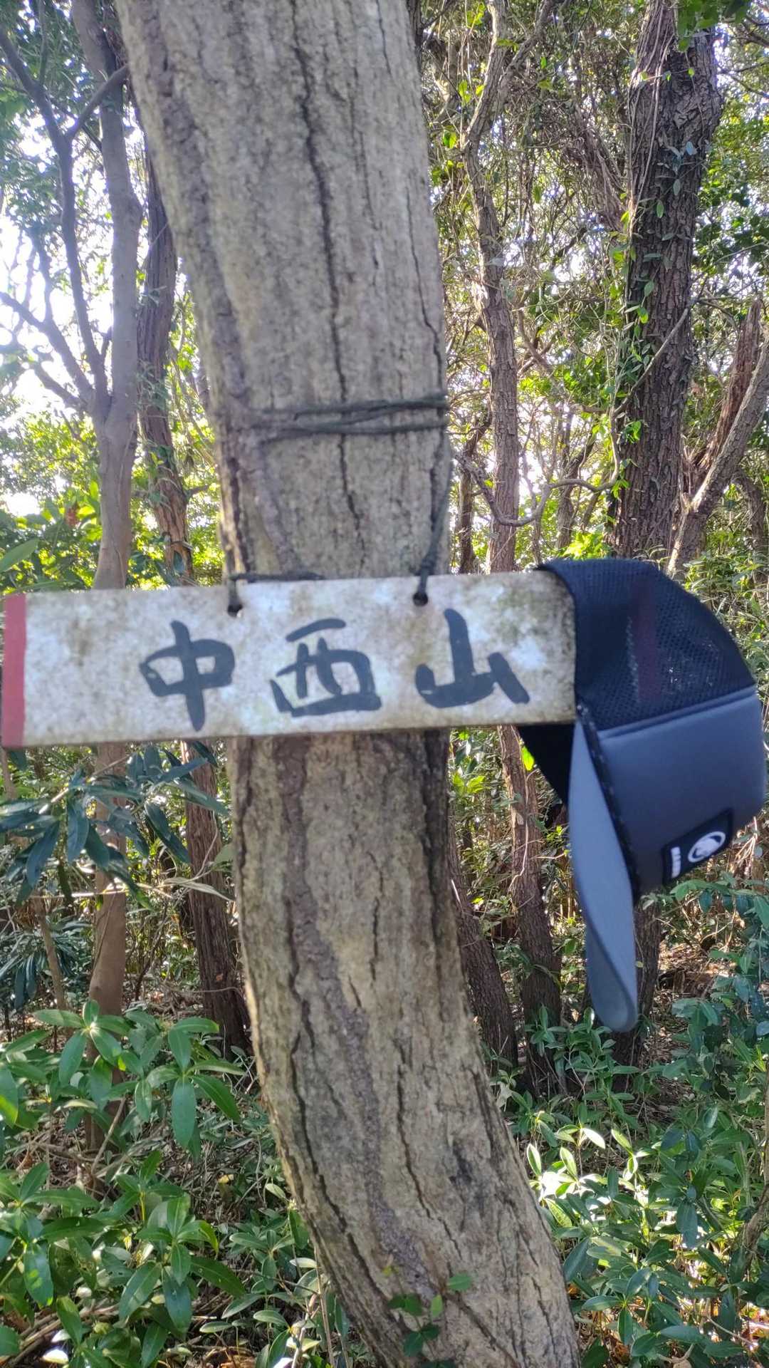 中西山とうちゃこ。