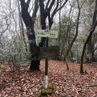 砥石山の頂上に到着！この後も派手にズッコケました