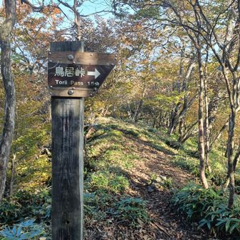 鳥居峠方面へ