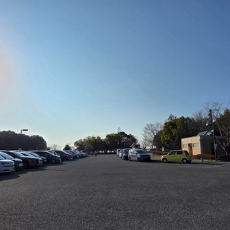 帰ってきた～
なんか好きなものが色々詰まった山行だったな…