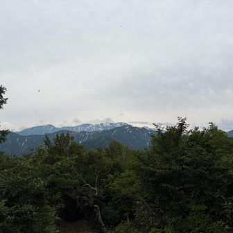 白馬かな