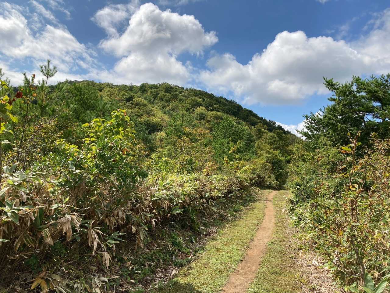 大倉岳頂上がみえてきました！広い登山道、階段がなければクルマが通れるくらい。