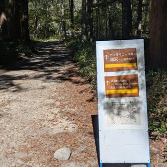 今度は登りで
