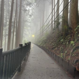 ケーブルからの道も既に…