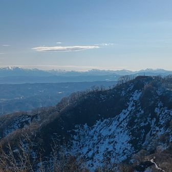 さらに左
マッキー🪇